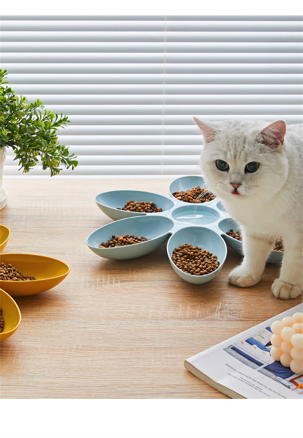 Deluxe Multi-Functional Slow Feeder - Large Capacity, Anti-Slip, Easy Clean Cat & Dog Food Bowl for Healthy Mealtime Experience - Upgrade Your Pet's Dining!
