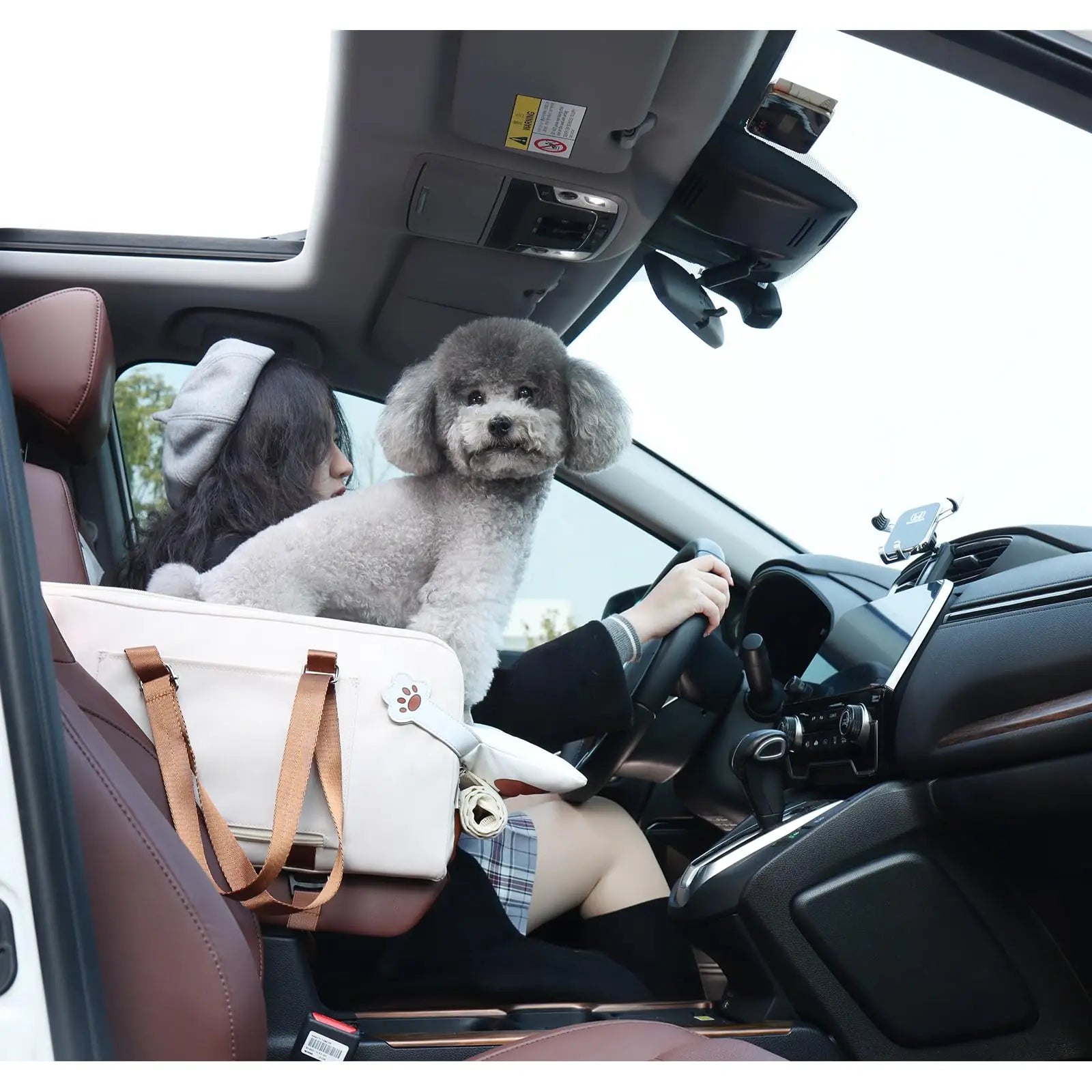 Dog car seat center console dog seat with double protection seat belt comfortable bow neck pillow suitable for dog cat puppy